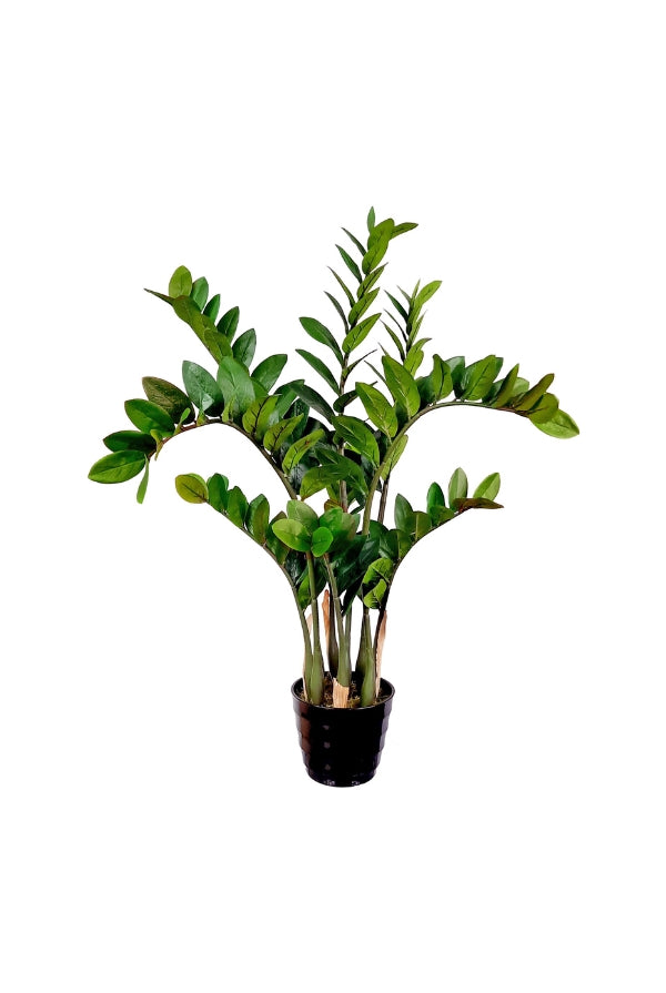 Potted Z Plant 87cm - Magpie Style