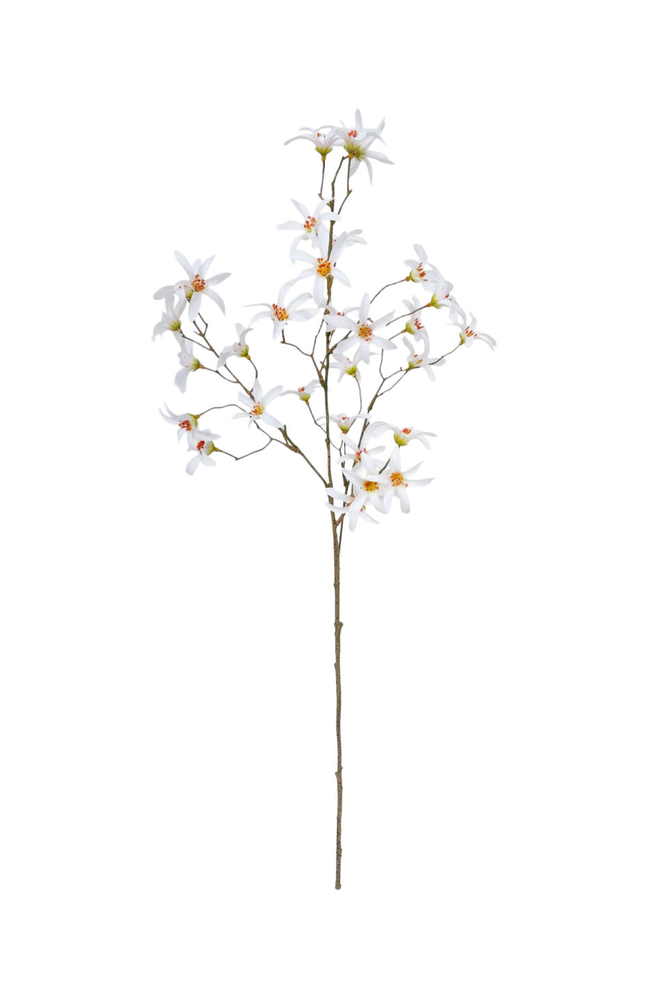 Clematis Spray - White