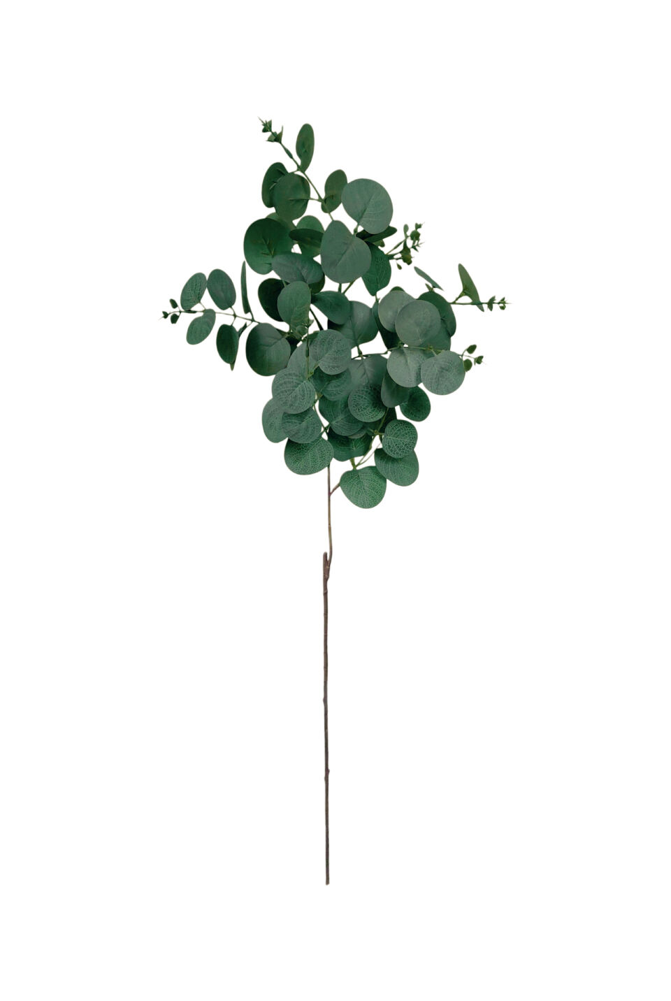 Eucalyptus Spray - Dark Green