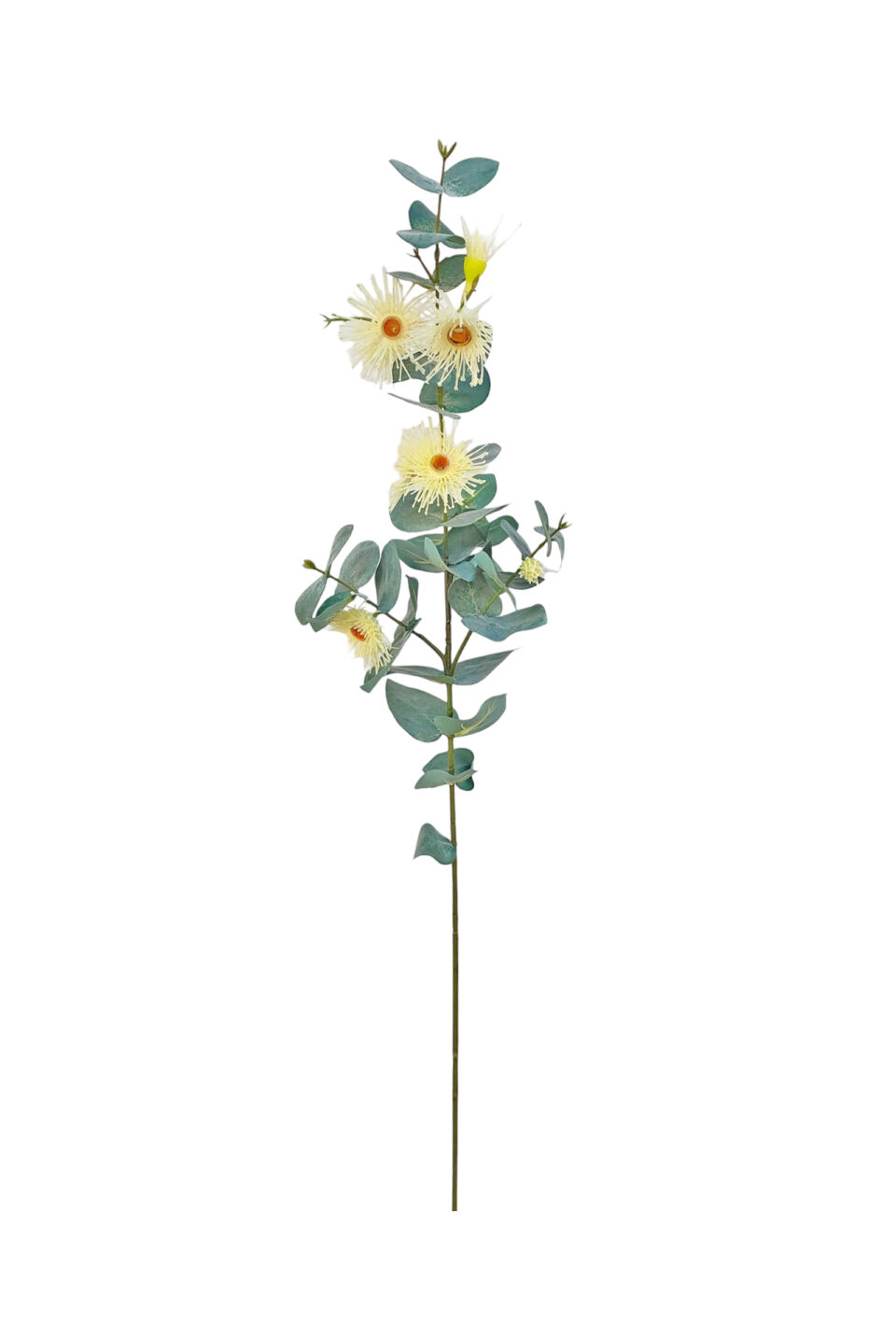 Flowering Gum Spray - Cream