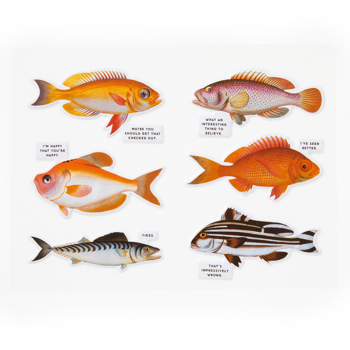 Judgy Fish 1000 Piece Puzzle - 5