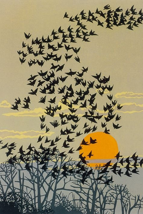 Aerial Manoeuvres Card by Museums & Galleries