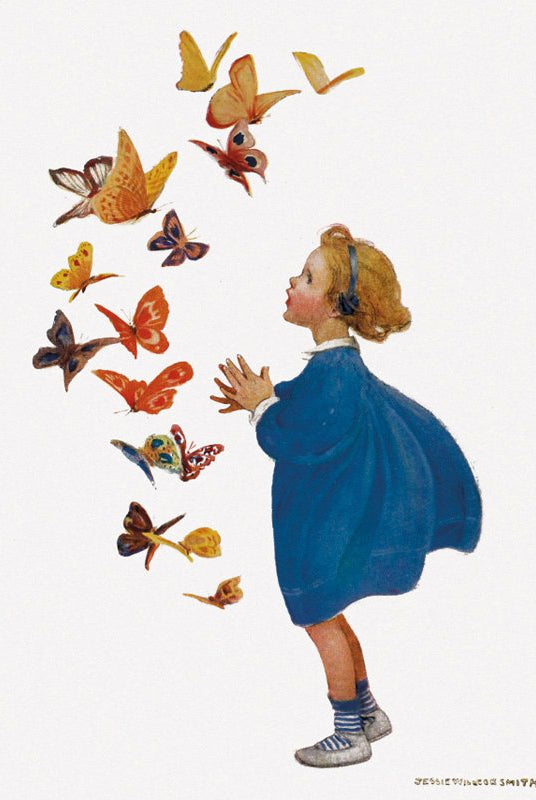 Butterflies Card by Museums & Galleries