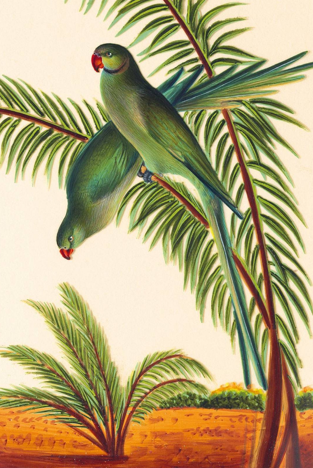 Two Parakeets Card by Museums & Galleries