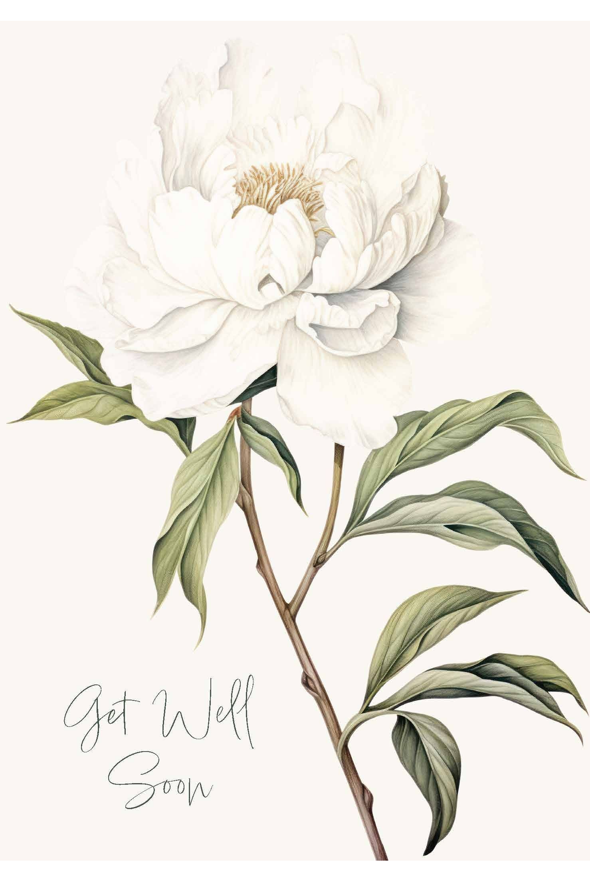 Card - White Peony Get Well - Nuovo F241 hero
