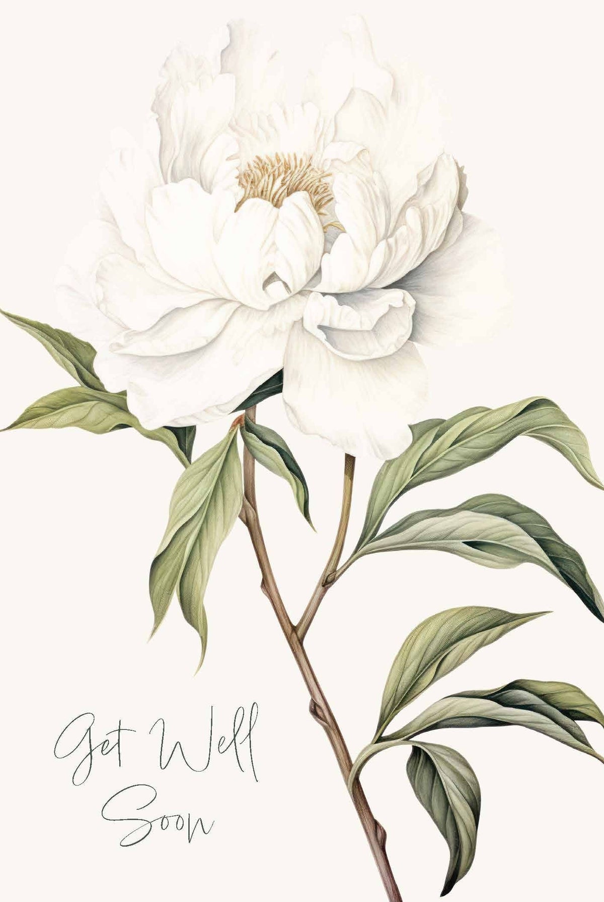 Card - White Peony Get Well - Nuovo F241 original