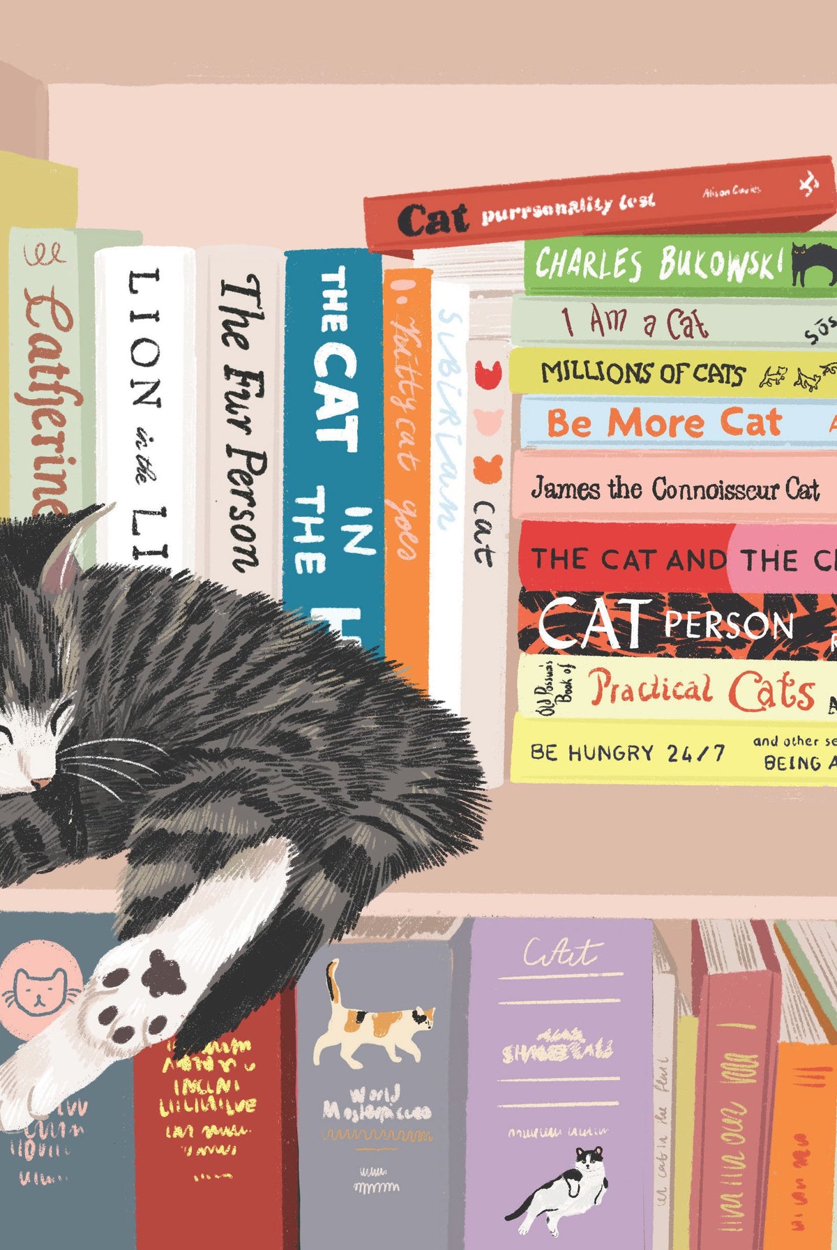 Card - Library Cat - Nuovo LEVY08 original