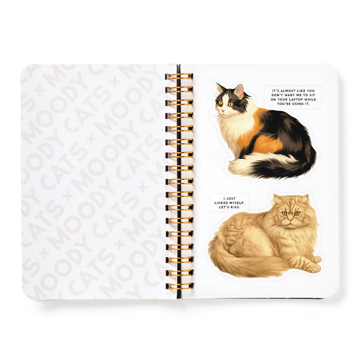 Moody Cats Sticker Book - 6