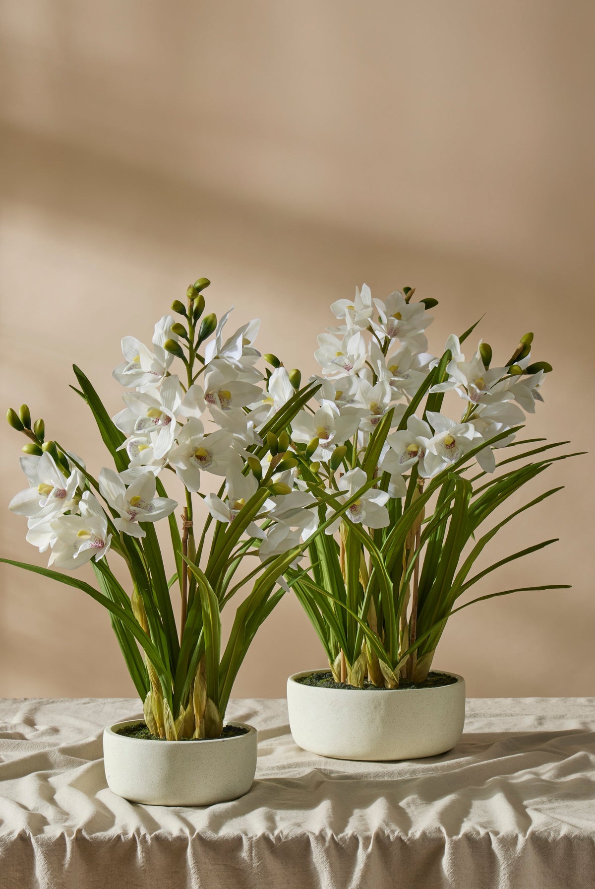 Cymbidium Orchid Pot - White - 3