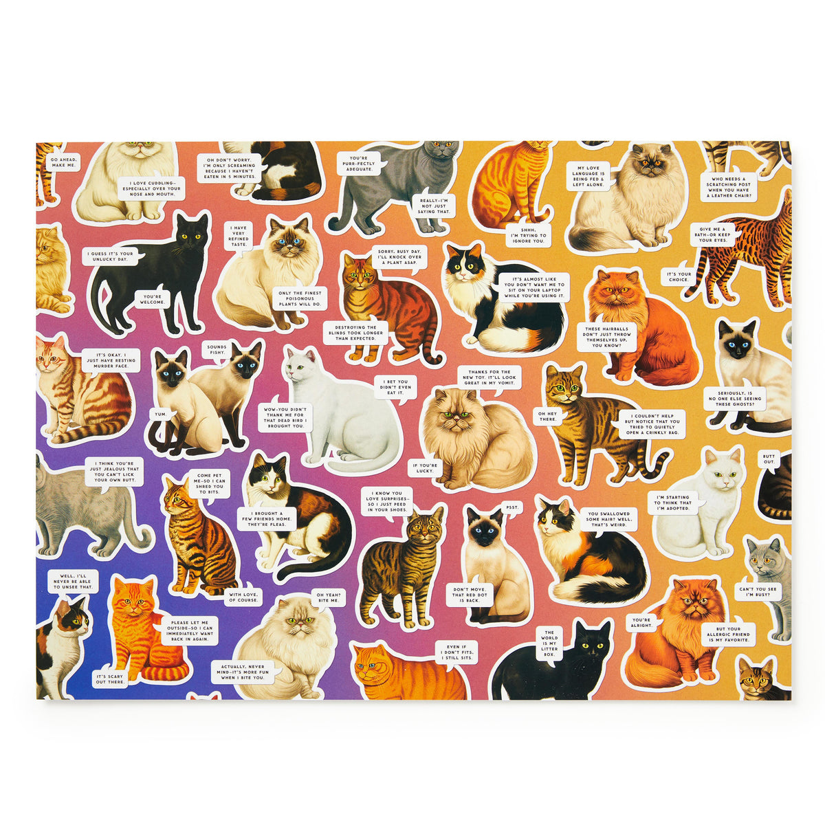 Moody Cats 1000 Piece Puzzle - 4