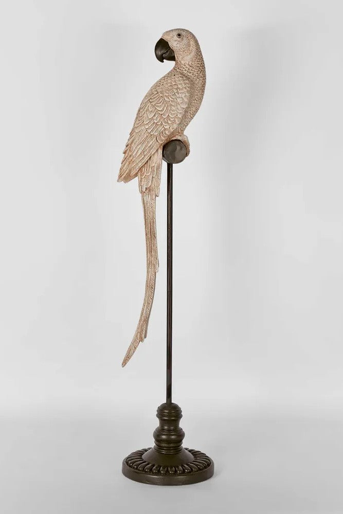 Amabela Large Parrot - Natural - Magpie Style