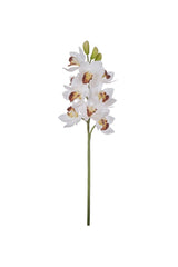 White Orchid Stem