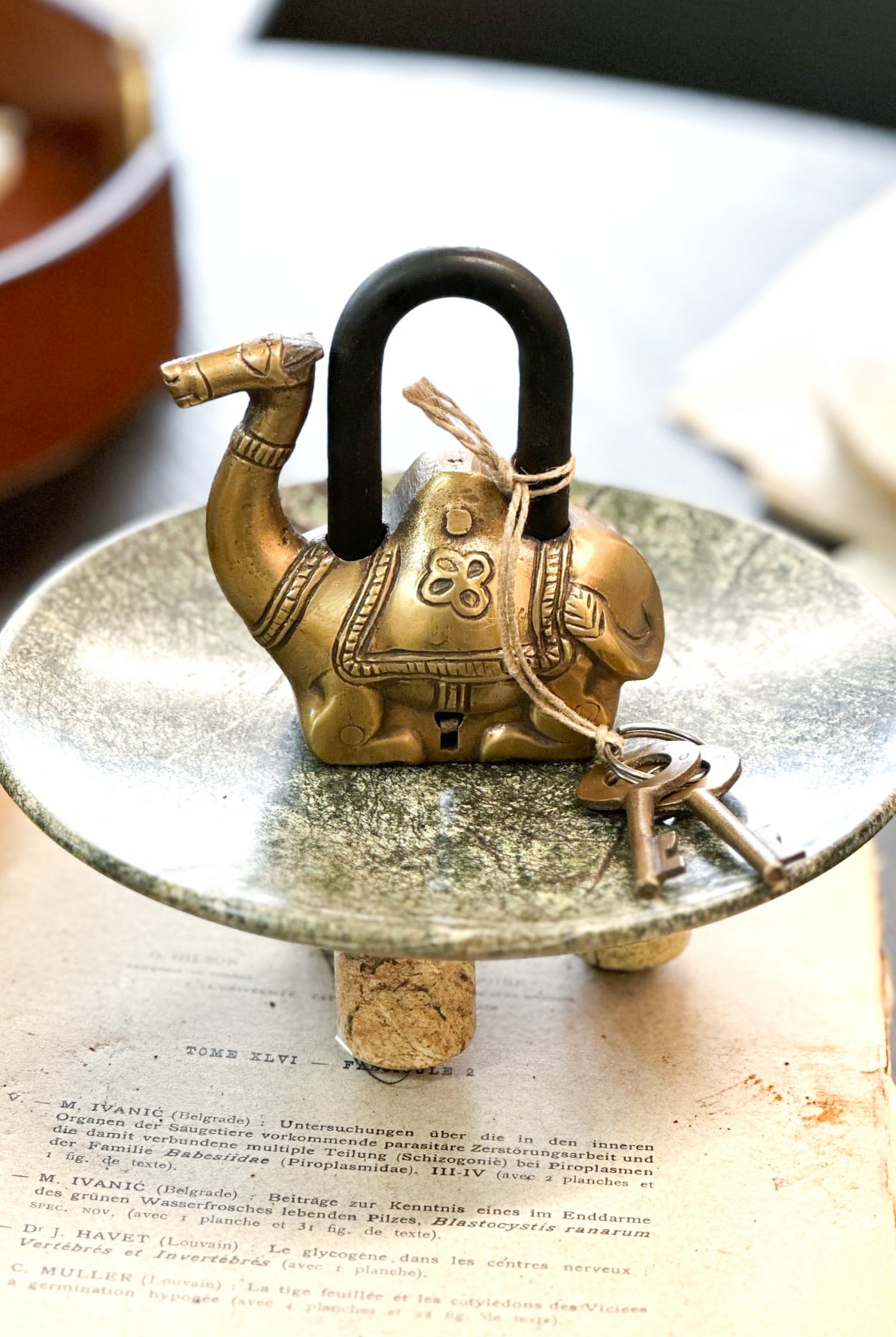 Large Camel Solid Brass Lock (with two keys). - Magpie Style