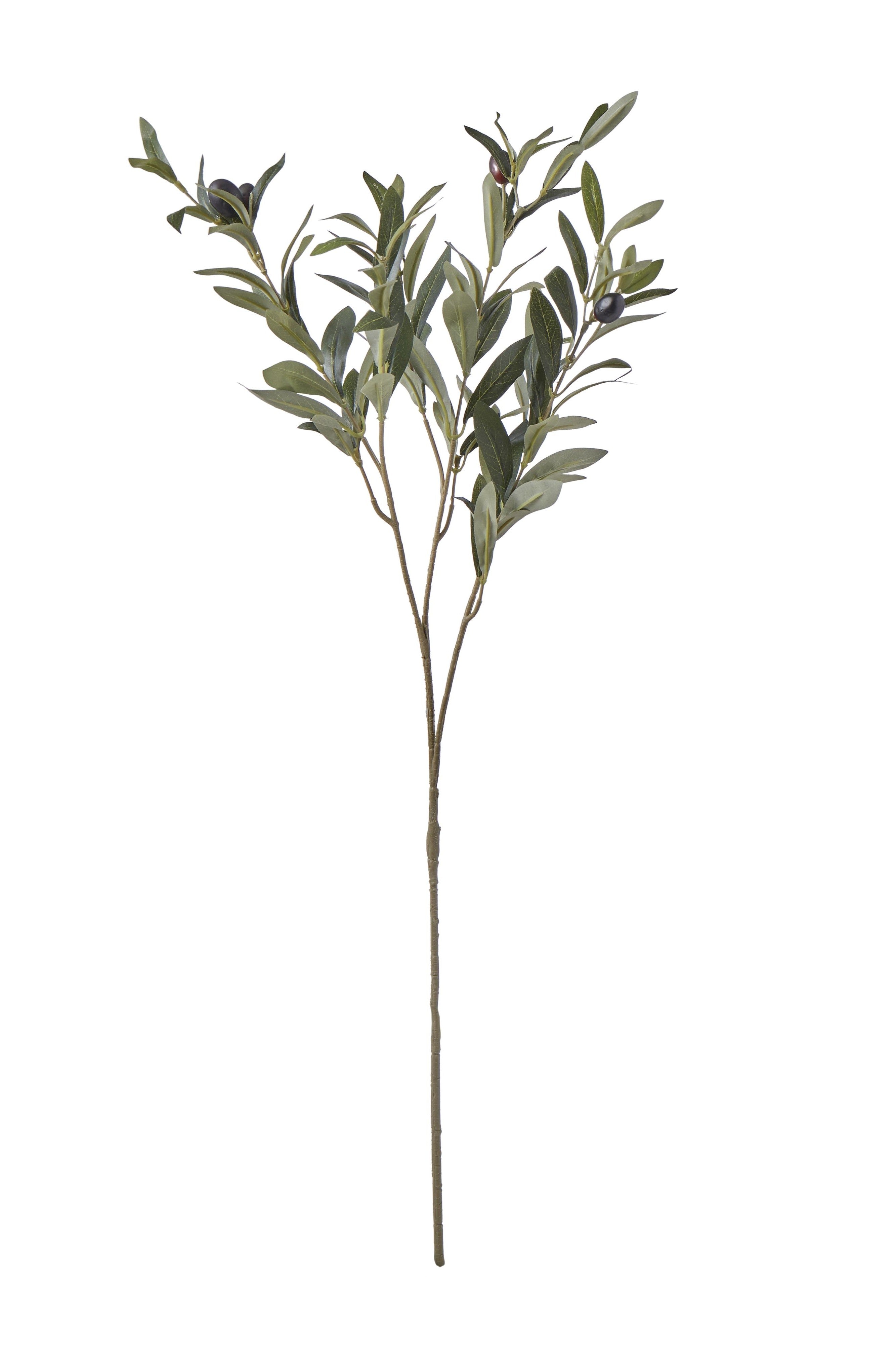 Long Olive Spray - Magpie Style