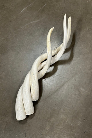 XL Long Kudu Polished Horn