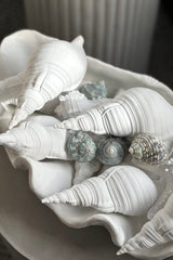 Conch Resin Shell - White