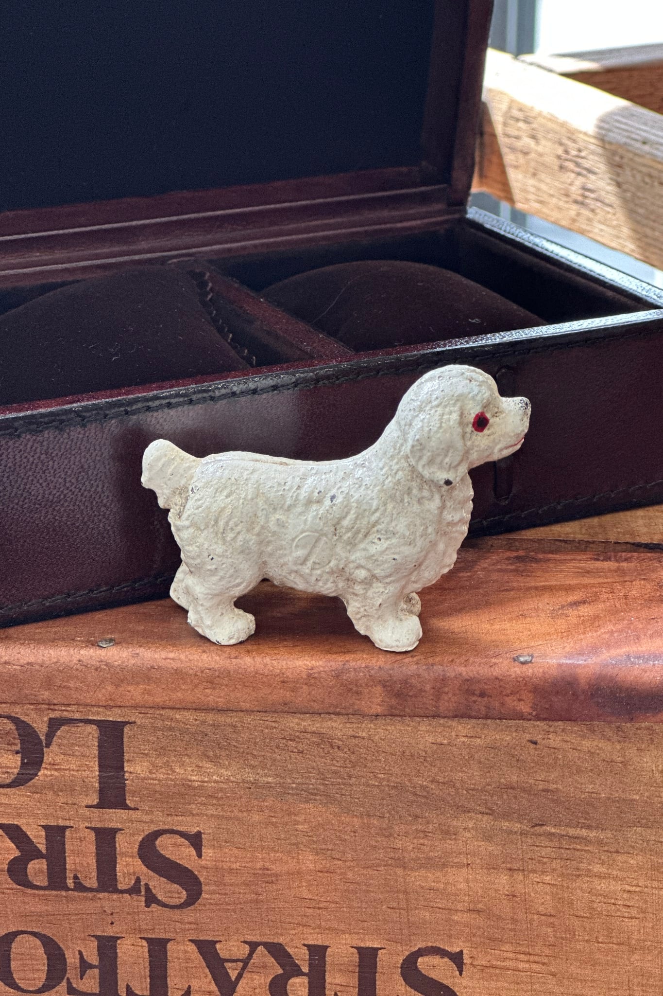 Fluffy White Dog - Magpie Style