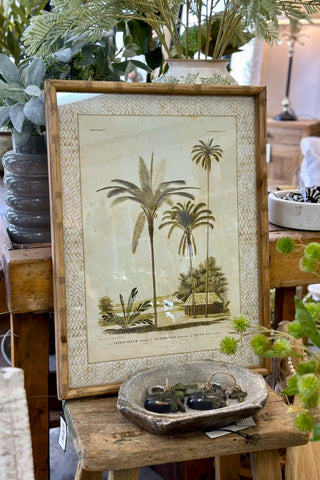 Zanzibar Village Palms Glass Framed Print