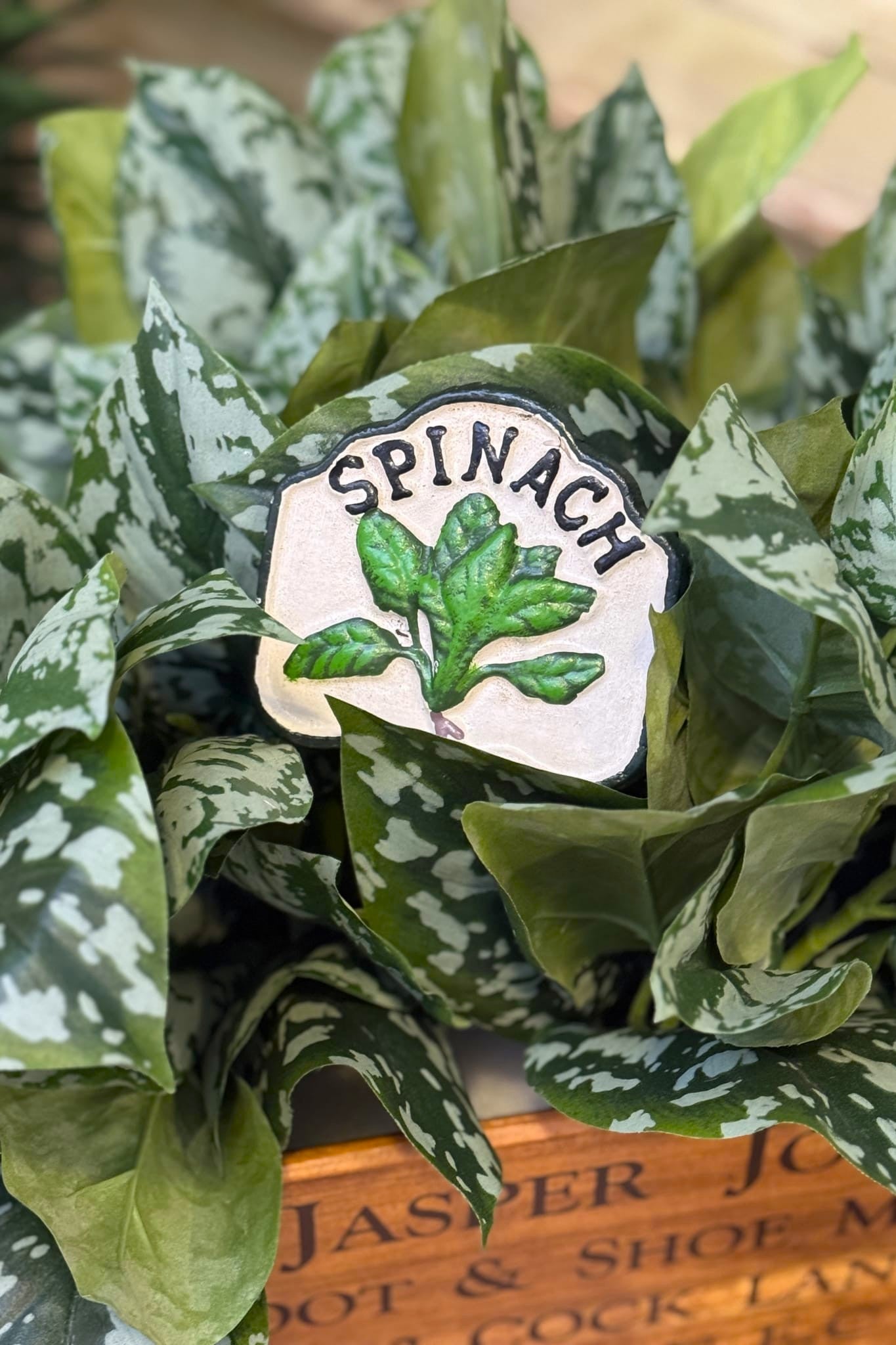 Spinach Garden Stakes - Magpie Style