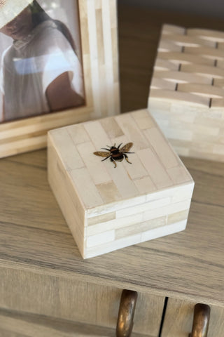 Square Bee Box