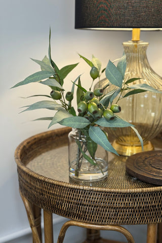 Gum Nut Eucalyptus - Mix Pail Vase