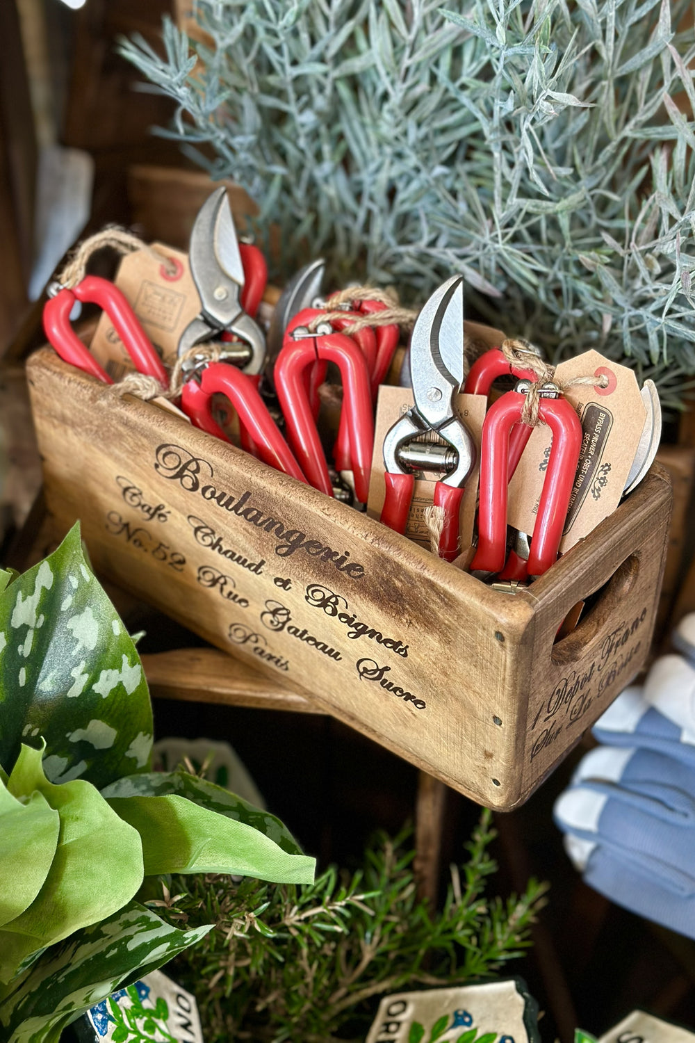 Utensil Box with Cut Out Handle