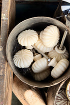 Bone Scallop Doorknob - Magpie Style