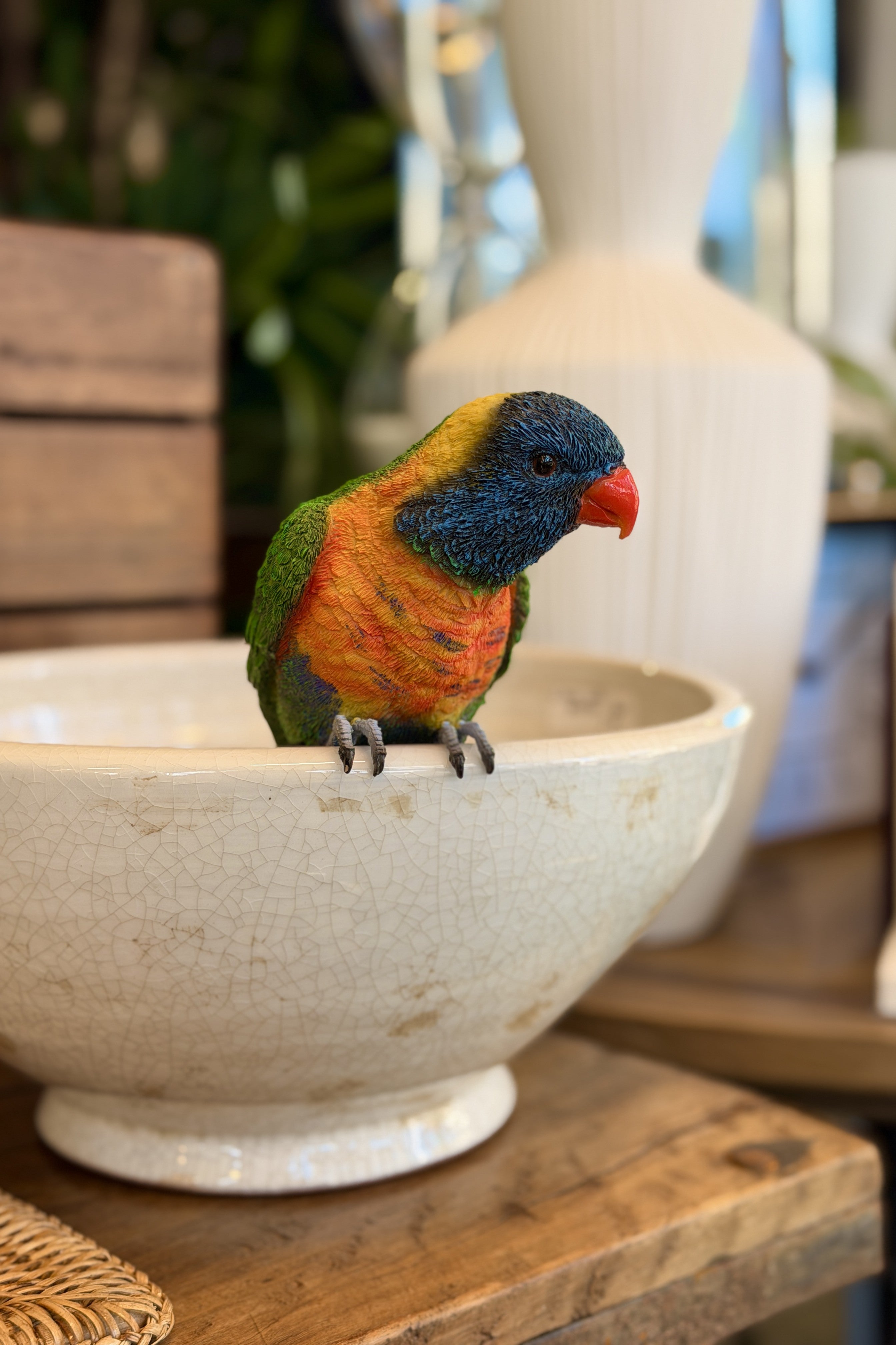 Lorikeet Pot Hanger - Magpie Style