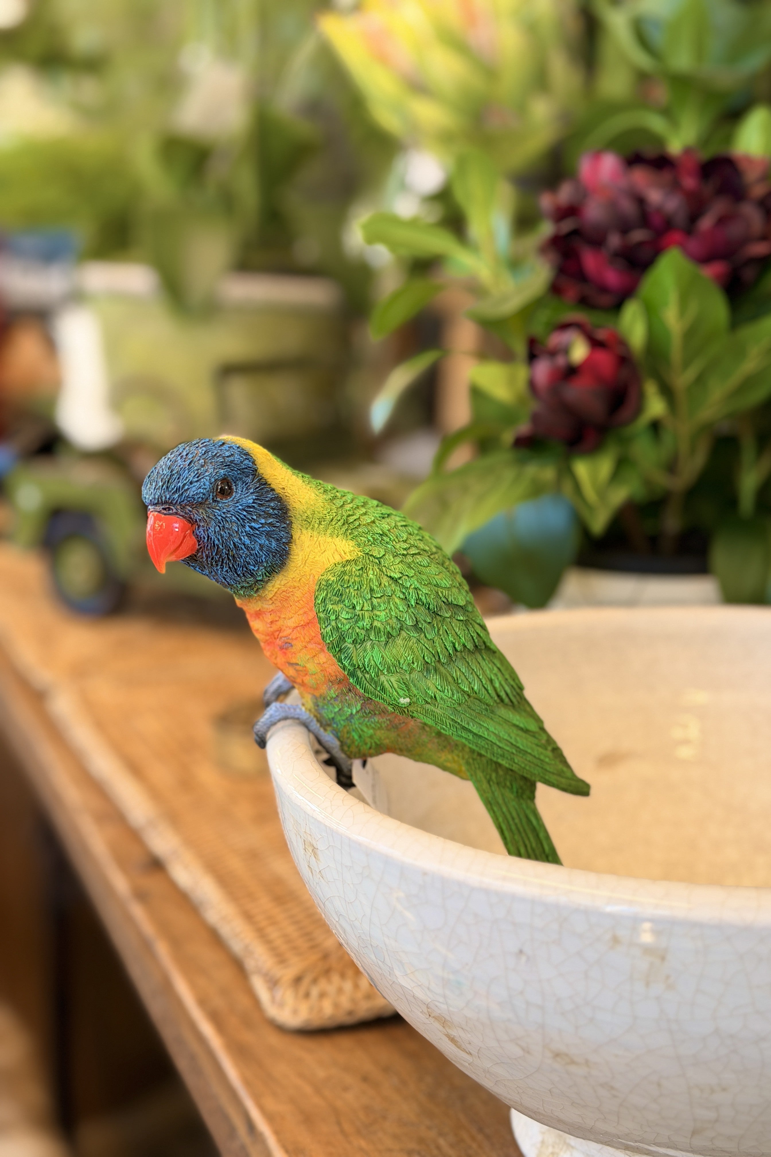 Lorikeet Pot Hanger - Magpie Style