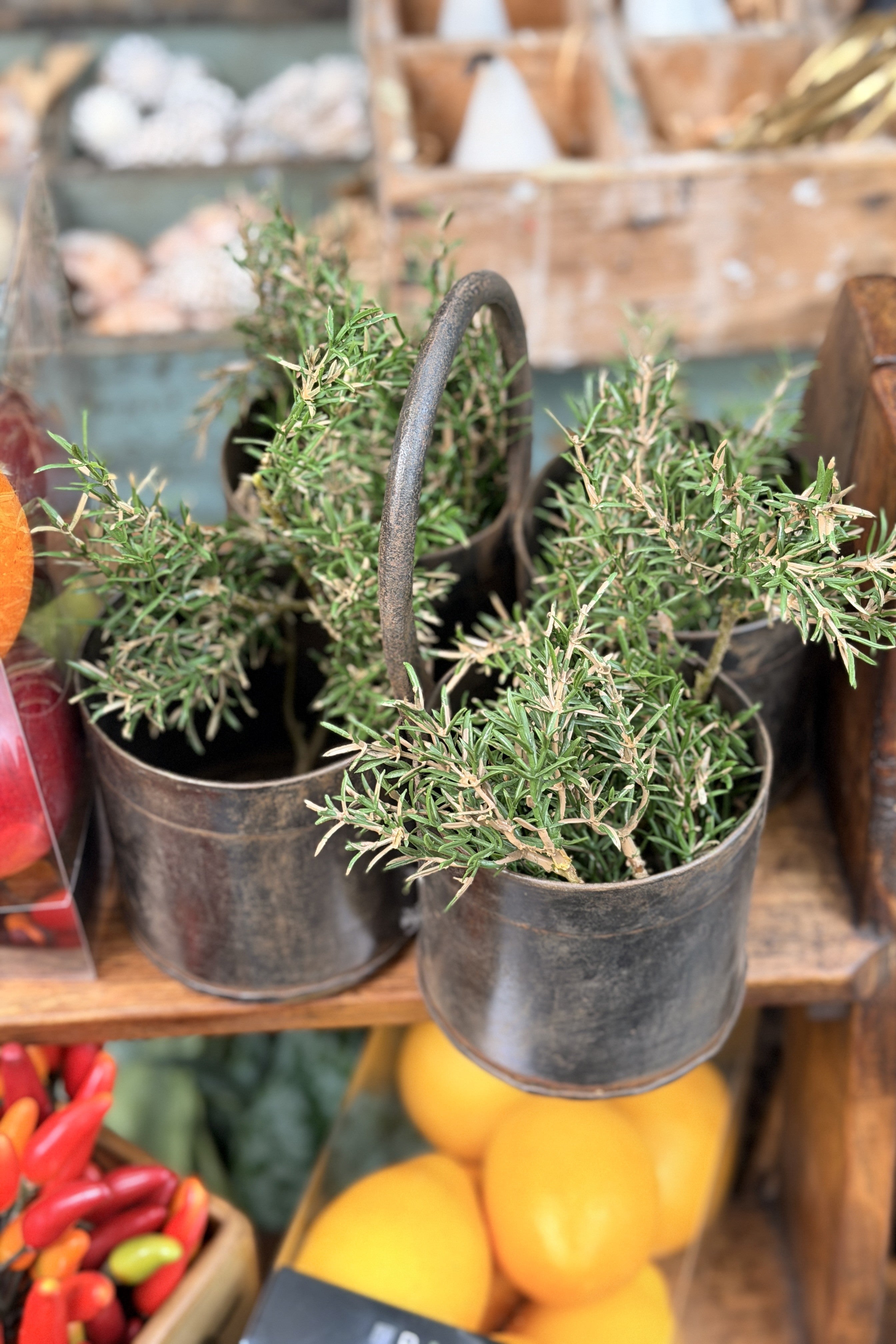 Original Metal Herb Holder - Quad - Magpie Style