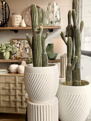 Faux Saguaro Cactus - Potted
