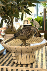 Ashbourne Sparrow