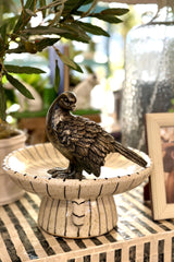 Ashbourne Sparrow - Perched
