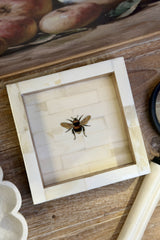 Marble Bee Trinket Tray