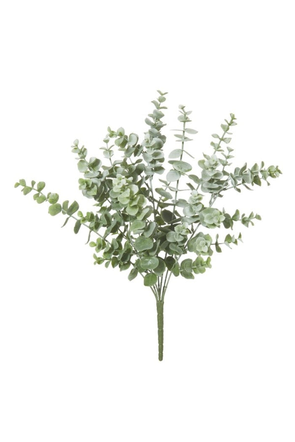 Eucalyptus Bush