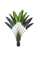 Faux Traveller’s Palm - Potted