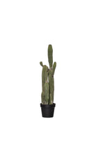 Faux Saguaro Cactus - Potted - Magpie Style