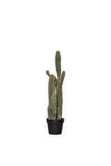 Faux Saguaro Cactus - Potted