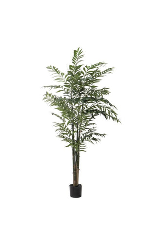 Faux Bamboo Palm - Potted