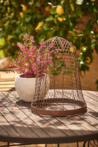 Outdoor Metal Wire Cloche - Magpie Style