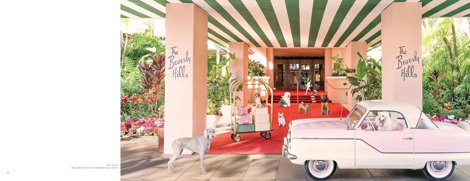 Gray Malin: Dogs - Magpie Style