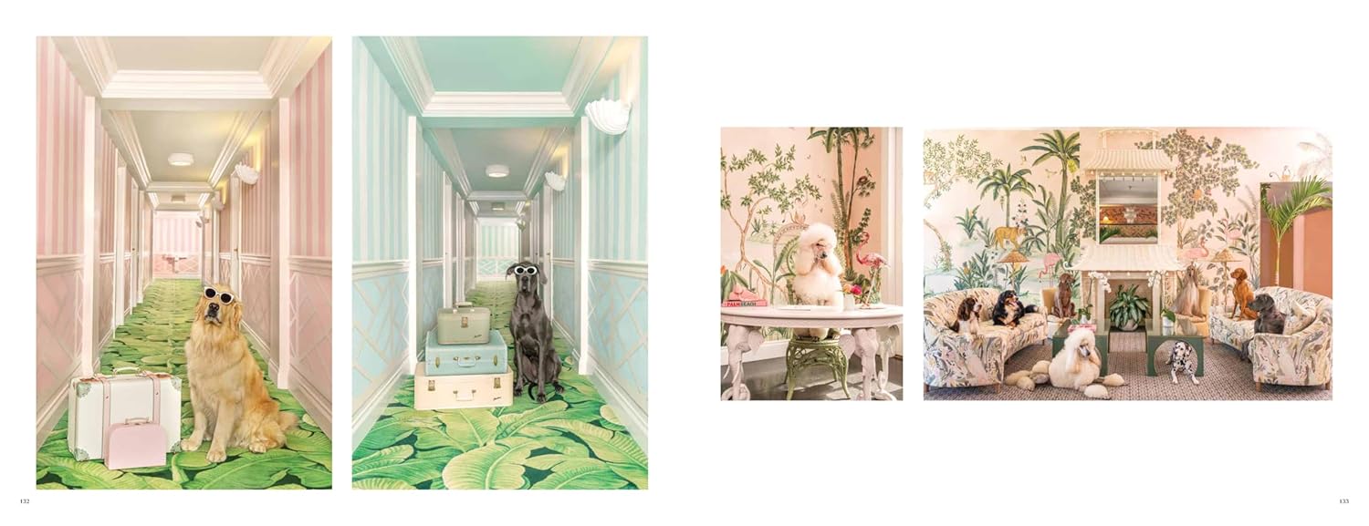 Gray Malin: Dogs - Magpie Style