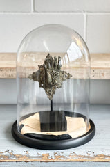 Medium Dome with Black Base