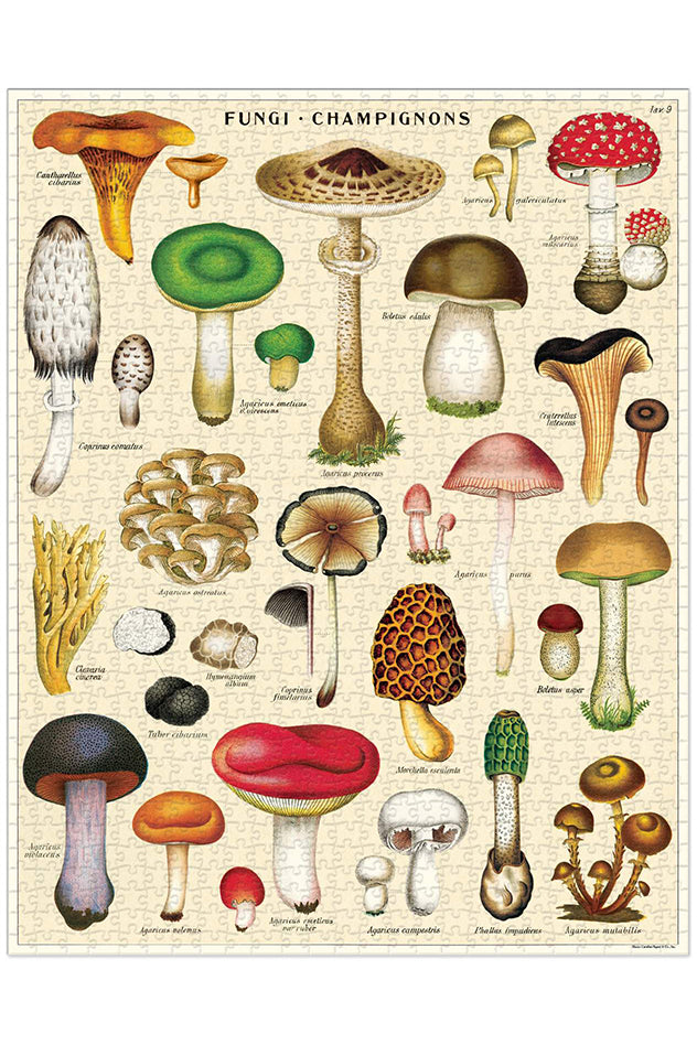 Cavallini & Co - Mushrooms 1000 Piece Vintage Puzzle - Magpie Style