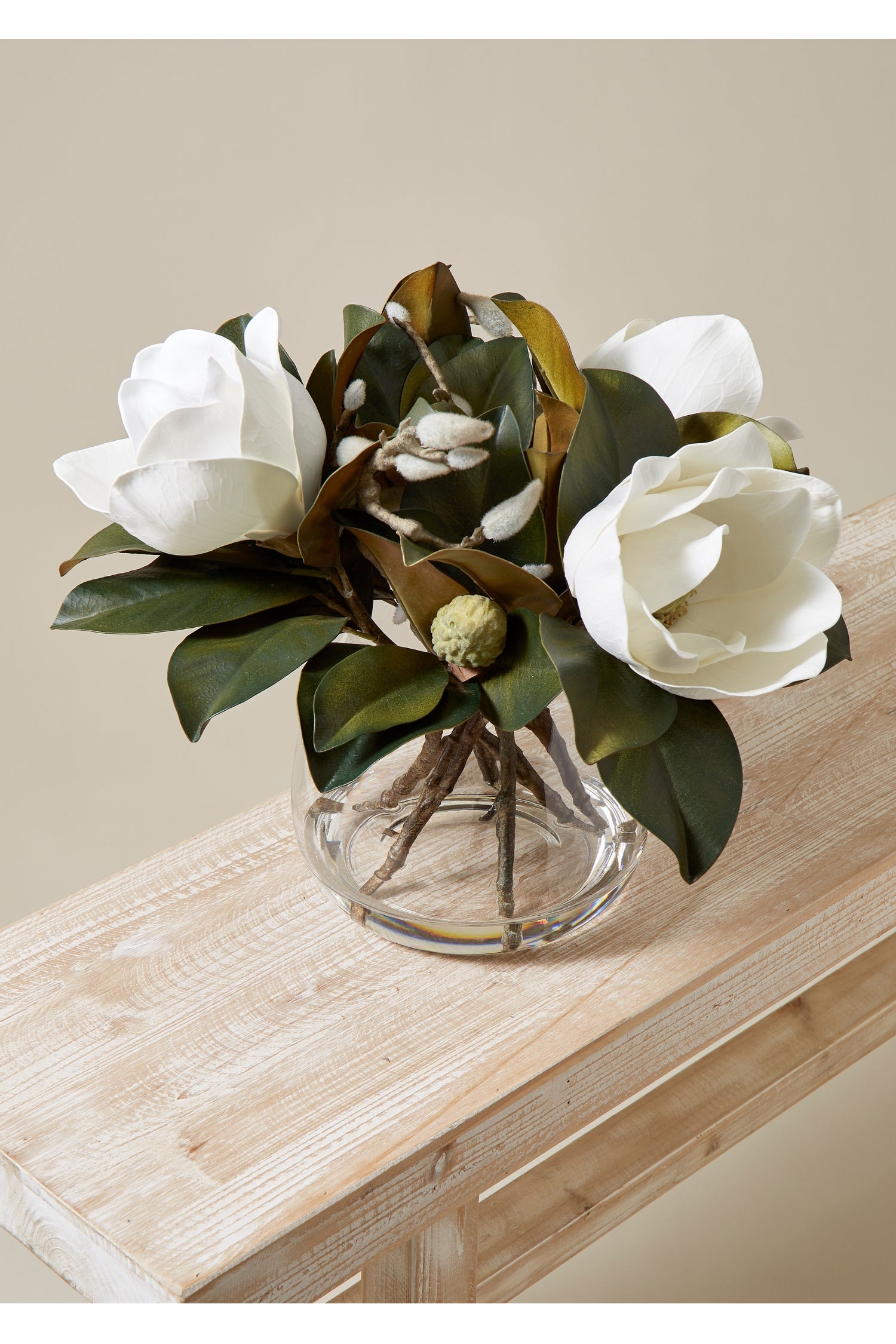 Magnolia Grandiflora Garden - Magpie Style