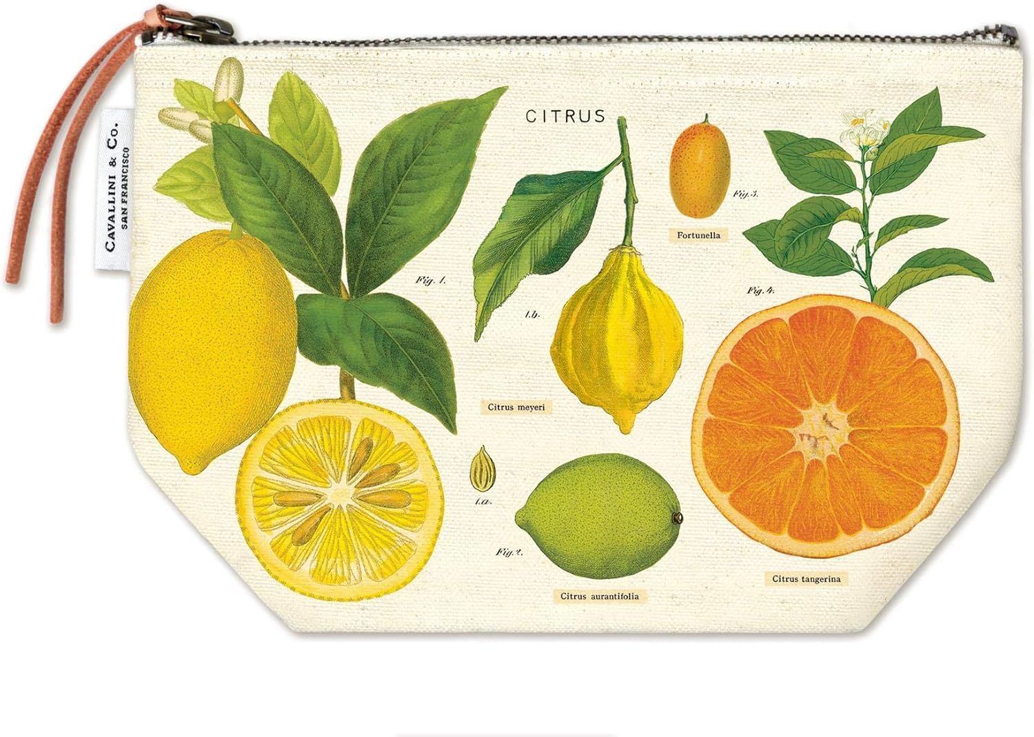 Cavallini & Co - Citrus Pouch - Magpie Style