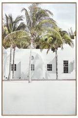 Casa De Palm B