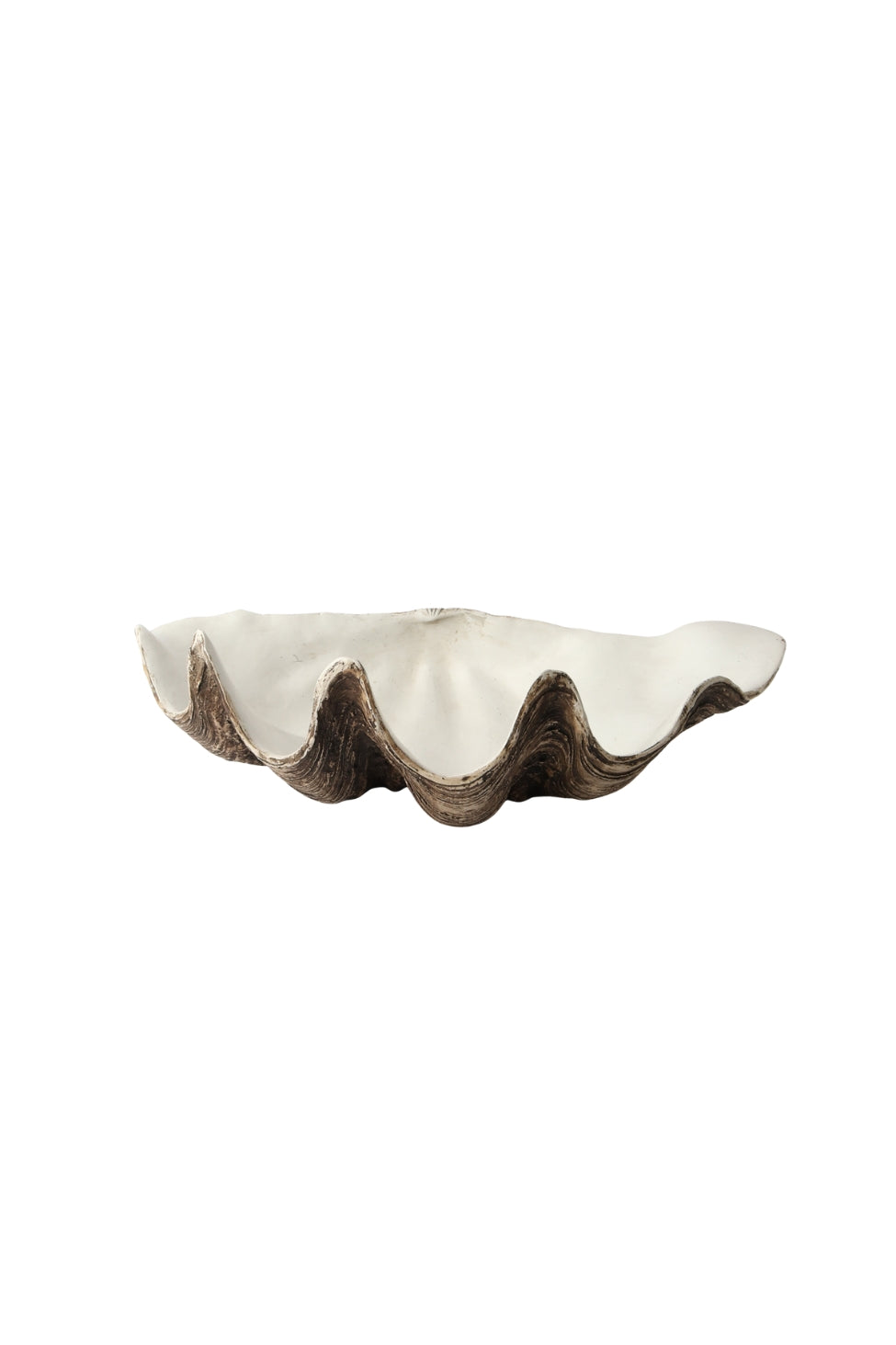 Large Resin Clam Shell - Natural - Magpie Style