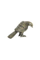 Ashbourne Sparrow