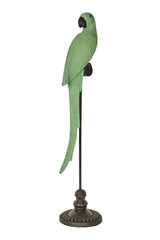 Amabela Large Parrot - Green